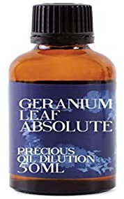Mystic Moments Geranium Leaf Absolute Oil Dilution-100ml-3% Jojoba Blend, 100ml