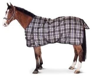 Eskadron Outdoordecke lila karo XL