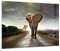 Moderne Impression sur Verre 100x70cm Image Tableau en Verre Decoration Murale Elephant Route Campagne Grand Tableaux Decoratifs Muraux Chambre Cuisine Horizontal Deco Cadre Salon Art GAA100x70-0214