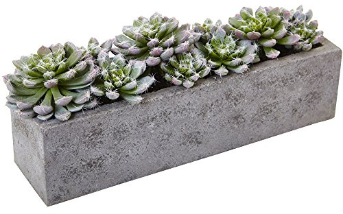 Nearly Natural Succulent Garden with Textured Concrete Planter