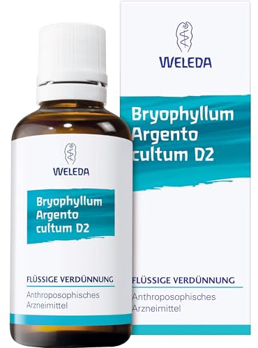 Bryophyllum Argento cultum Rh D3 WELEDA Dil., 20 ml Lösung