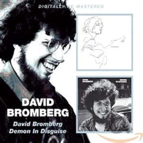 David Bromberg/Demon in Disguise