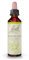 FLEURS DE BACH ORIGINAL - Honeysuckle No 16 - Pour plus de réalité - Aide à laisser le passé derrière soi - Élixir floral naturel pour le bien-être émotionnel - Compte-Gouttes 20ml - Vegan