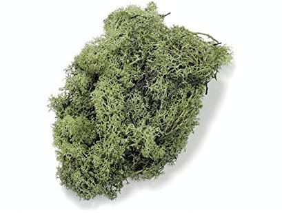 Gütermann / KnorrPrandell 6694446 - Islandmoos 50g grün