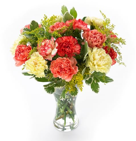 Sendabunch Luxury Mixed Carnation Bouquet | 18 Fresh Stems with a Gift Card | UK Delivery for Birthdays, Anniversaries, All Occasions