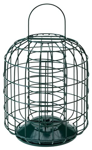 Fat Ball Feeder for Small Birds - Protects Food from Squirrels and Large Birds, Weather Resistant for Garden and Outdoor Use, Easy to Fill and Clean (30x24cm) - RSPB