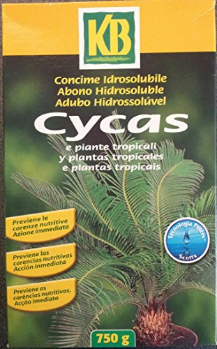 KB CONCIME IDROSOLUBILE per Cycas E Piante Tropicali