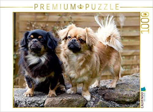 CALVENDO Puzzle Tibet Spaniel | 1000 Teile Lege-Größe 64 x 48 cm Foto-Puzzle für glückliche Stunden