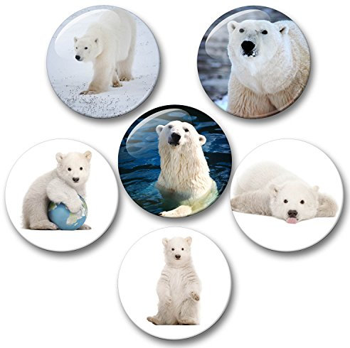 Merchandise for Fans Eisbär in der Arktis - 6 große Kühlschrankmagnete [ 06 ] für Memoboard Pinnwand Magnettafel Whiteboard