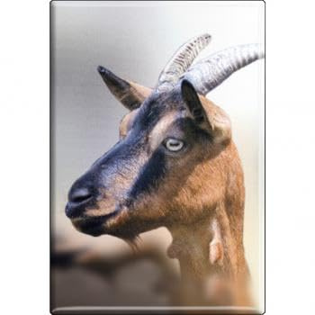 Kühlschrankmagnet - Ziegen Ziegenbock - Gr. ca. 8 x 5,5 cm - 38531 - Magnet Küchenmagnet