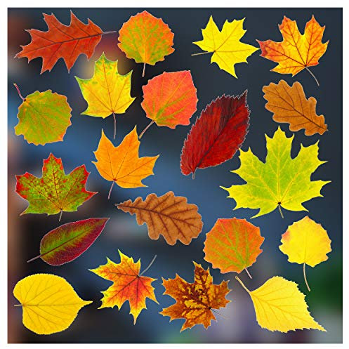 Herbstliche Aufkleber in Farbe in buntem Blätter-Design. Fenster-Aufkleber von Stickers4., weiß, Set 1 - 20 leaves