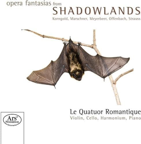 Opernfantasien aus der Schattenwelt