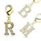 Bungsa R - Buchstaben Charm Gold 14 Karat Anhänger für Kette Armband Ohrringe Kristall Damen Herren (Kettenanhänger Pendant Beads A B C D E F G H I J K L M N O P Q R S T U V W X Y Z Brass Schmuck)