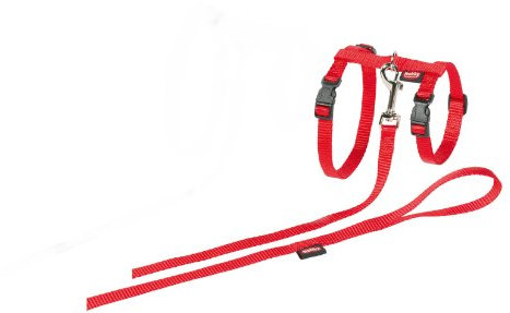 Nobby Harnais + Laisse pour Grand Chat Rouge 34/57 cm + 120 cm