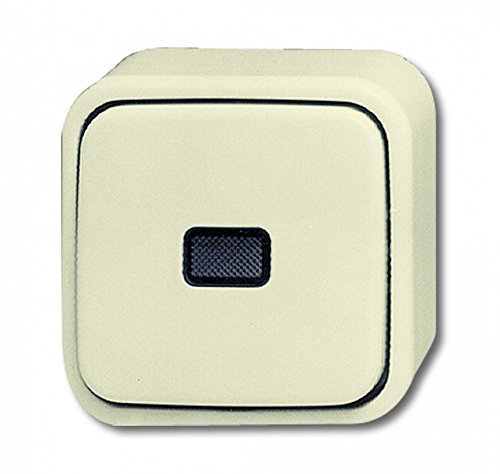 Busch-Jaeger BUSC AP-Kontroll-Ausschalter 2601/6 SKAP, 250 V, bunt