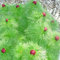 Tenuifolia Peony Samen, Doppelblüte Fernleaf Peony Rubra Plena Garten Pflanzensamen - 10 PC/Los