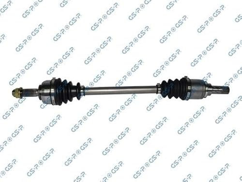 GSP 250369