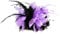 Caprilite Lilac Light Purple and Black Fascinator Corsage Flower Petals Feathers Handmade