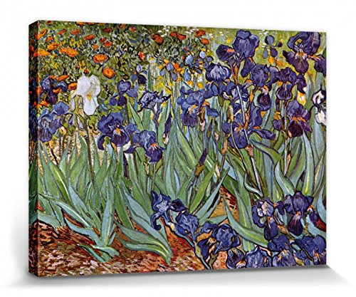 1art1 Vincent Van Gogh Poster Iris,1889 Bilder Leinwand-Bild Auf Keilrahmen | XXL-Wandbild Poster Kunstdruck Als Leinwandbild 40x30 cm