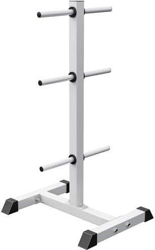 Gorilla Sports® Porta Pesi - in Acciaio, Carico Massimo 200kg, con Diametro 30/31mm, 6 Porta Dischi, Bianco/Nero - Rastrelliera, Rack, Supporto per Piastre Pesi, Albero, Palestra, Allenamento, Fitness