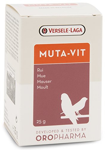 Versele-Laga A-17170