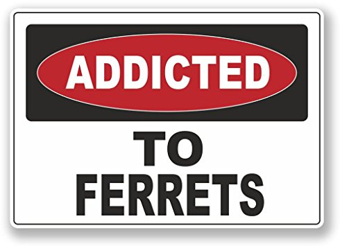 2 x Addicted to Frettchen Vinyl Aufkleber Aufkleber Laptop Reise Gepäck Auto Cool Schild Fun # 6535 - 10cm/100mm Wide