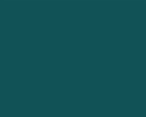 Crown Trade Intense Aqua 5L Matt Emulsion