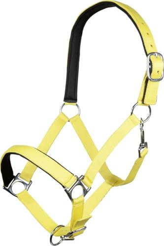 HKM -Stars Softice- Halfter Pferd | Weich Unterlegt, mit Karabiner & Silberbeschlägen | Neongelb | Größen: Shetty, Pony, Vollblut, Warmblut, Kaltblut (Pony (P2))