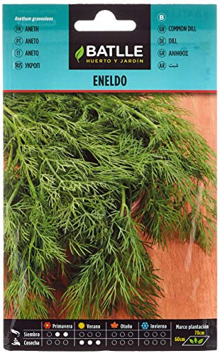 Semillas Batlle - Eneldo - Anethum graveolens, Color Verde
