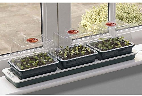 3 germogliatori per davanzale