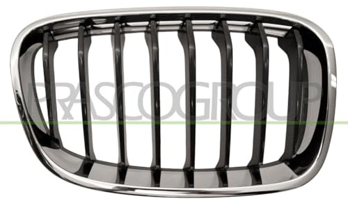 PRASCO BM1232023 Front Grille