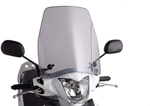 Puig carenabris Model Urban Suzuki Address Ahumado claro