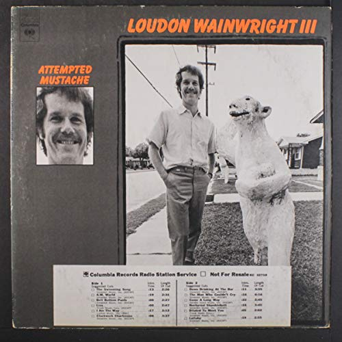 Attempted Mustache [Vinyl]