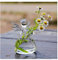 Engel zum Aufhängen Glas Blumenvase Hydrokultur Topf, Büro