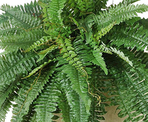 Helecho real gigante artificial con 85 cm de diámetro y 48 ramas de hojas – Planta de helecho XXL para colocar