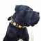 Bestia Maximus'' Echtleder Hundehalsband für große Hunde. 100% Leder. Weich Gepolstert
