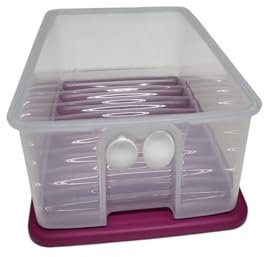 Tupperware KlimOase - Contenitore per alimenti Prima Klima (1,6 litri)