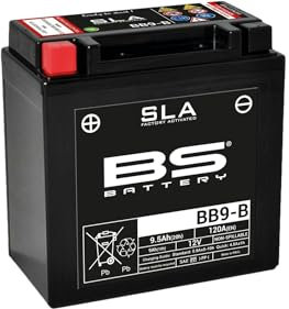 BS Battery 300675 BB9-B AGM SLA Motorrad Batterie, Schwarz