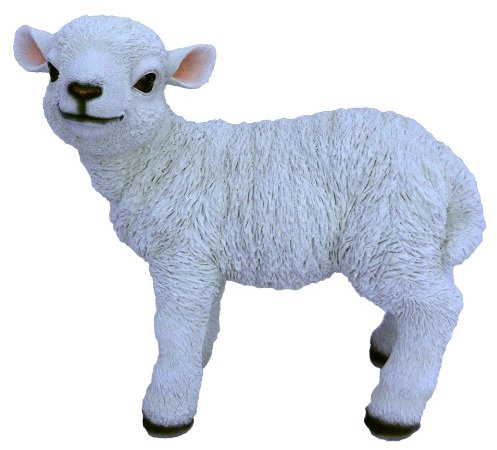 Vivid Arts Real Life Lamm, stehend, Kunstharz Gartendeko (mittelgroß)