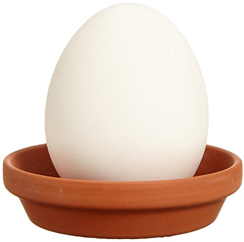 Eggling Kräuter Ei Pflanz Ei mit Samen Erdbeere Kräuterei