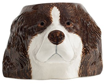 Quail Ceramics Springer Spaniel Eierbecher