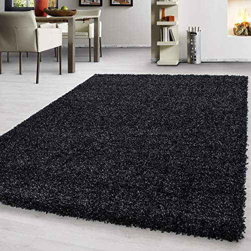 Teppium Moderner Hochflor Teppich Wohnzimmer 120 x 170 cm Anthrazit - Shaggy Flauschiger Teppich, Extra Weich, Pflegeleicht und Einfarbig - für Schlafzimmer, Küche und Esszimmer