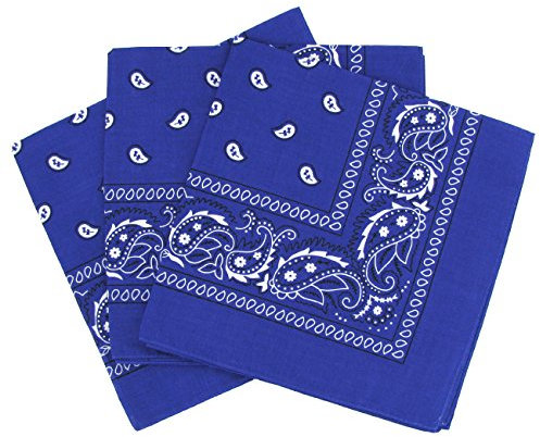 Laciteinterdite Bandana Paisley Unisex Erwachsene Kinder Blau 57x57cm