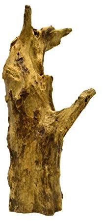 Brillibrum Design Natur Teakholz Wurzel außergewöhnliche Baumwurzel Naturbelassen aus Teak Dekoration für Terrarien & Aquarien Holzwurzel Dekofigur einzigartig Baumstammwurzel Wurzel 1000-1500g