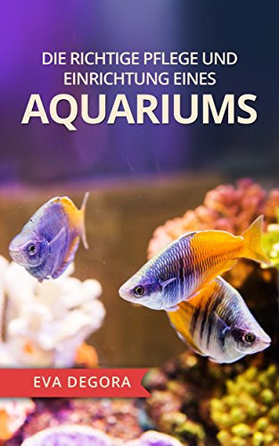 Die richtige Pflege und Einrichtung eines Aquariums