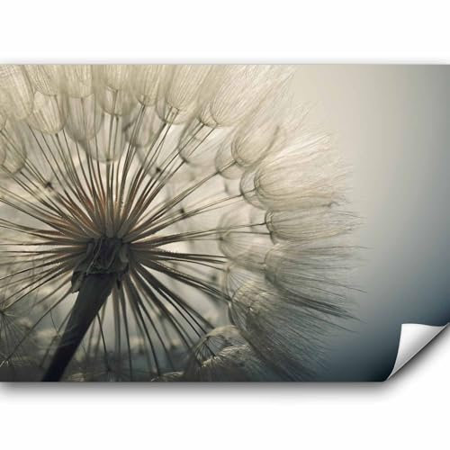 murando - Vlies Fototapete Pusteblumen 350x256cm Foto Tapete Schlafzimmer Wohnzimmer Vliestapete XXL Motivtapeten Bildtapete 3d Effekt Wand Dekoration - Natur Landschaft Blumen grau beige b-B-0059-a-d