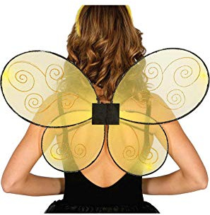 FIESTAS GUIRCA 18609