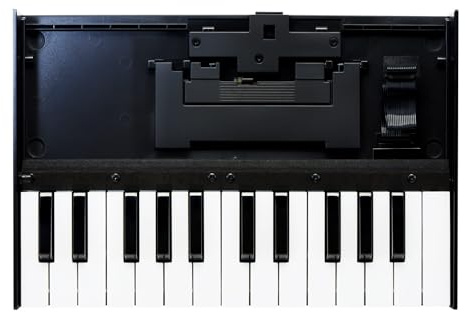 Roland K-25M Boutique Module Dock USB MIDI Keyboard, 12 inch (K-25M)
