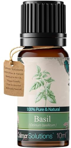 Basilikum (Sweet) 100% reinen ätherischen Ölen für eine Aromatherapie, 10 ml