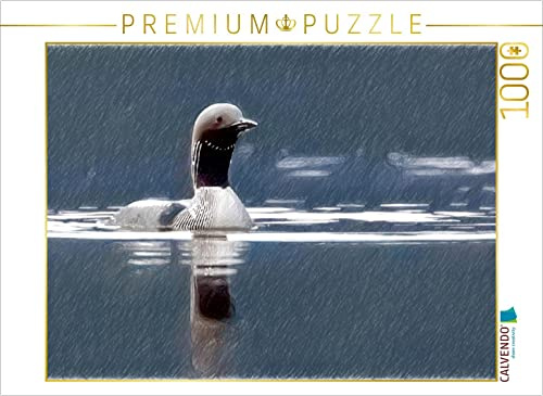CALVENDO Puzzle Arktischer Prachttaucher, Moray Firth | 1000 Teile Lege-Größe 64 x 48 cm Foto-Puzzle für glückliche Stunden
